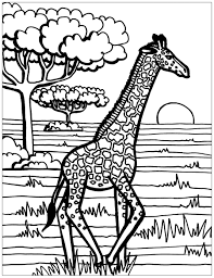 Explore 623989 free printable coloring pages for your kids and adults. Giraffe Coloring Page Giraffes Adult Coloring Pages Coloring Home