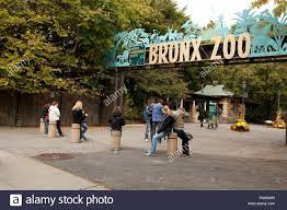 Download This Stock Image New York Bronx Bronx Zoo Entrance Fm8w6r From Alamy S Library Of Millions Of High Resolution Stock P Zoo Bronx Zoo Stock Photos