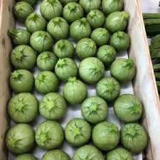 We did not find results for: All Offers Zucchini Green Round Libertyprim
