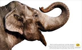 An Elephant A Day Elephant Drawing Indian Elephant Drawing Elephant Artwork More icons from this author. an elephant a day elephant drawing