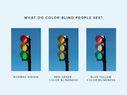 Image result for Color Blindness