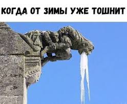 a vy zhdete vesnu fotografiya yumor veselye kartinki veselye memy