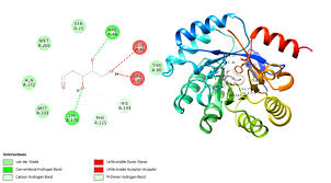 Image result for Triumfetta welwitschii