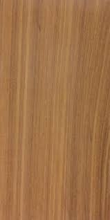 Image result for Androstachys