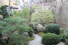 Japanischer Bonsaigarten In Ferch Feiert 20 Jahriges Bestehen Nachrichtenarchiv Blickpunkt