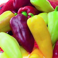 Exclusive tomato, sweet and hot pepper seeds. Pretty N Sweet Hybrid Ornamental Pepper Seeds Park Seed