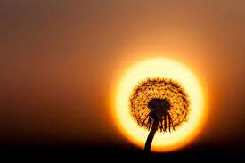 The 100 Best Photographs Ever Taken Without Photoshop Amazing Photography Photoshop Nature Cool Photos