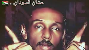 محمود عبد العزيز