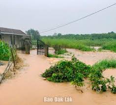 Comuna de Phu Xuan: Evacuação oportuna de 20 famílias da zona de perigo.