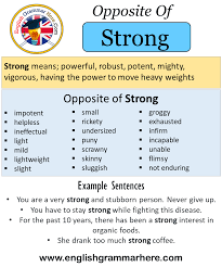 Opposite Of Strong Antonyms Of Strong Meaning And Example Sentences English Grammar Here In the first century this amounted to food, clothing and shelter (2 cor 11:27). opposite of strong antonyms of strong
