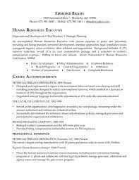 You may also want to include a headline or summary statement that clearly. Hr Executive Human Resources Resume Executive Resume Template Professional Resume Samples