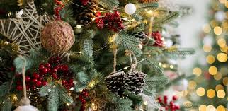 This is where all your ideas come to life. Christmas Tree Decoration Ideas Cadbury Gifts Direct