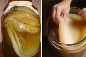 как вырастить молочный гриб с нуля в домашних условиях Vyrashivaem Chajnyj Grib Samostoyatelno Culinary Recipes Food Recipes