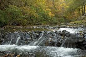 Maybe you would like to learn more about one of these? Glamping Arkansas Cabins Tree Houses Weekend Getaways Camping