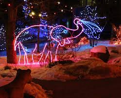 Best Places To See Christmas Lights Around Colorado Springs Cheyenne Mountain Zoo Places To See Christmas Lights