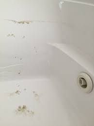 Otherwise if you can see any calcium still clean it again with vinegar possible longer times or multiple times, its a mild calcium remover. Cleaning A Jetted Tub At Home Has Never Been Easier