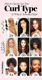 57 best hair type chart images hair type chart hair type