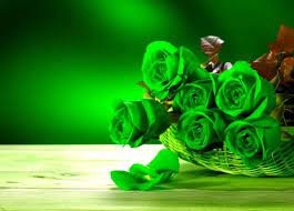 Bunga mawar gif gambar animasi animasi bergerak 100 gratis. Wallpaper Bunga Mawar Hijau Wallpaper Foto Dan Gambar Bunga Cantik Untuk Laptop Satria Baja 15 Jenis Rose Flower Wallpaper Flower Wallpaper Rose Wallpaper