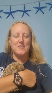 Meet El Tigre! He just came to Coastal Virginia Hedgehog Rescue in Virginia  Beach! He came from a breeder so he hasnt been handled much throughout his  life and is not very social as a result. I'm ...