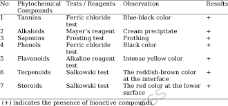 Image result for Discopodium penninervium