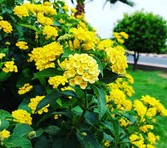 IMG_20171011_221208_803