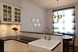 kitchen cabinets: remodel options for