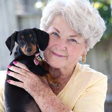 This is a picture of my sweet Susie who passed away three months ago. She  was a rat terrier mixed with dachshund mixes.