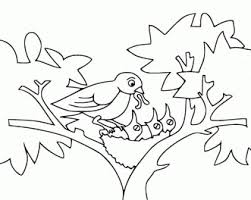 Keep your kids busy doing something fun and creative by printing out free coloring pages. 20 Free Printable Bird Coloring Pages Everfreecoloring Com