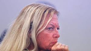 Turmoil surrounds Pinellas construction board manager Anne Maddox