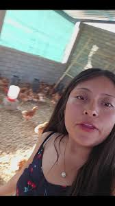 Lucero Granjas De Rendimiento