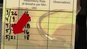 how to measure a resting respiratory rate in a dog