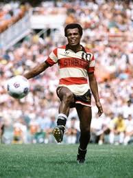 Teófilo juan cubillas arizaga (spanish pronunciation: Peruvian Teofilo Cubillas Is Seen In Action For The Fort Lauderdale Strikers During The N Best Football Players Soccer Inspiration North American Soccer League