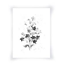Black And White Forget Me Nots From Original Watercolor Black Etsy Flower Wall Art Watercolor Flowers Flower Drawing