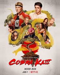 The next karate kid came in 1994. Cobra Kai Season 3 To Premiere On Netflix On January 1 Entertainment