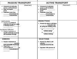 Passive Vs Active Transport Biology Worksheet Science Cells Cell Theory