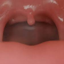 Weird 3D: Cutiemena Mouthplay - ThisVid.com