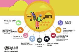Environmental health is the branch of public health concerned with all aspects of the natural and built environment affecting human health. Environmental Impacts On Human Health And Well Being Sciencedirect