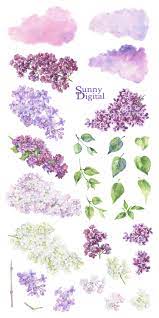 Lilac Clipart Floral Watercolor Handpainted Spring Flowers Etsy Lilac Painting Flower Art Floral Watercolor