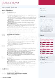 We have good news for you! Media Resume Sample July 2021