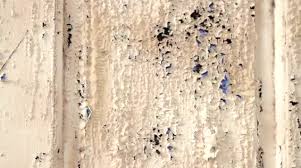 See full list on wikihow.com How To Remove Paint And Varnish From Wood Polycell