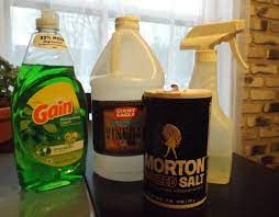 We did not find results for: What Kills Poison Ivy Mike S Backyard Nursery