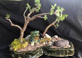 Live bonsai plants for office, home decoration with ✅ same day delivery, ✅ free shipping. Bonsai Meditation Mini Gardens Posts Facebook