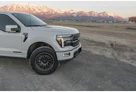 Image result for Gunmetal 1995 Truck