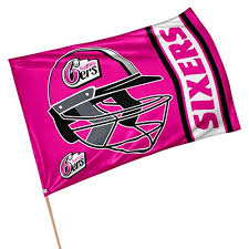 Almost files can be used for commercial. Big Bash League Cricket Australia Game Day Flag Sydney Sixers Amazon Com Au Sports Fitness Outdoors