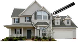 Our visual pest inspection and report is in accordance with australian standard (as 4349.3). Pest Inspection In Adelaide Precision Pest Control Adelaide Sa