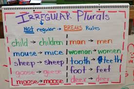 Irregular Plurals Anchor Chart Grammar Anchor Charts Noun