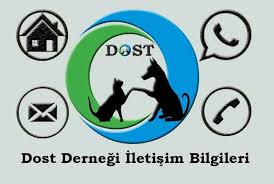 iletisim adres konum dost dernegi