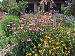 Micro Prairies No Yard Is Too Small To Go With Earth Friendly Native Plants Design De Native Plants California Native Plants Native Plant Gardening