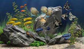 Dream Aquarium Screensaver Telecharger Gratuit Sur Pc Tout le succès de wallpaper engine est d'avoir inclus dans l'interface du logiciel une option qui permet d'assembler ses propres fonds d'écran animés à partir de photos, animation 2d, animation 3d, vidéos. dream aquarium screensaver