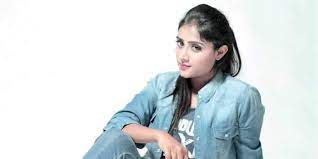 There is no doubt that rakshit shetty is among the bankable stars of kannada cinema. Sangeetha Bags 777 Charlie Cinema Express